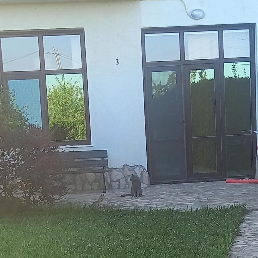 Villa Ketli Apartment Bliznatsi Zewnętrze zdjęcie